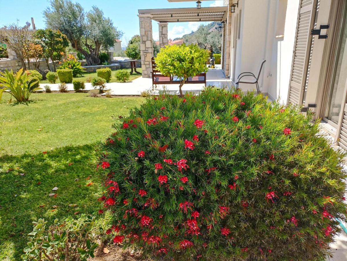 Paralia Sergoulas Seaside Retreat Houseヴィラ エクステリア 写真